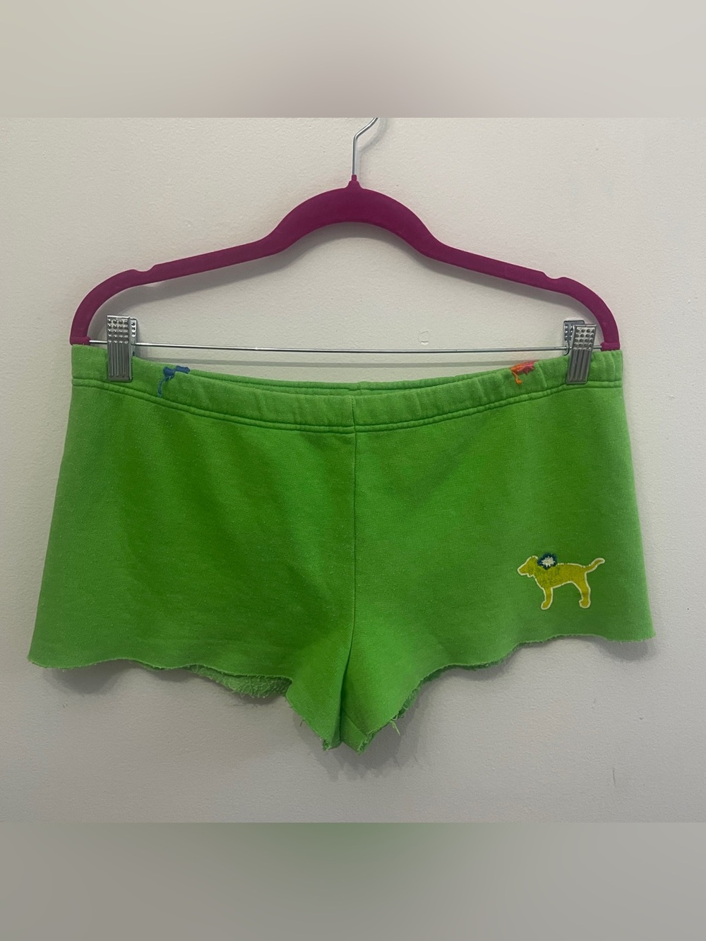 Y2K VS PINK Lime Lowerise Shorts Embroidered Flowers Dog Pink Logo in the Back